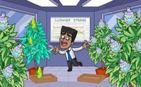 Weed Inc Idle Tycoon Apk Mod Dinheiro Infinito Download